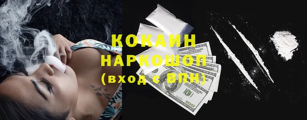 кокс Елизово