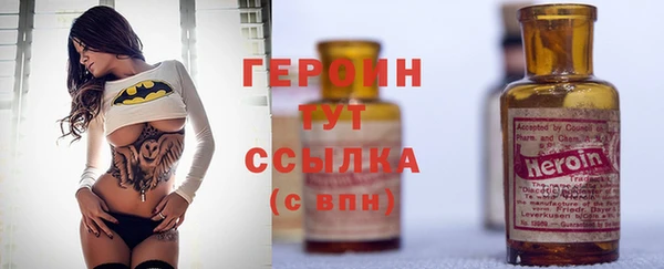соль ск Дмитриев