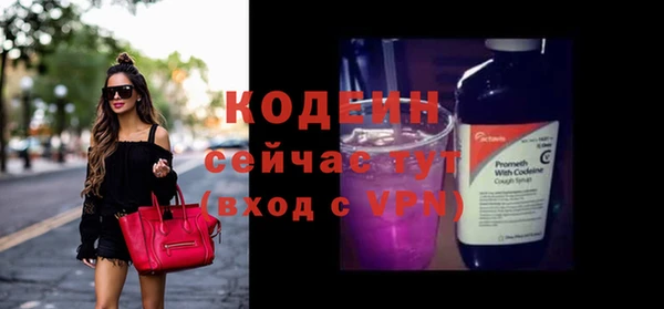 кокс Ельня