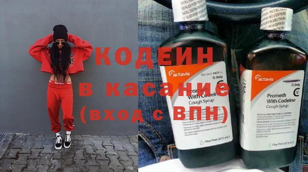 шишки Дмитровск