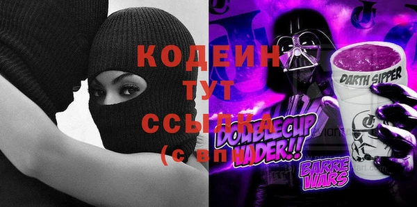 кокс Елизово