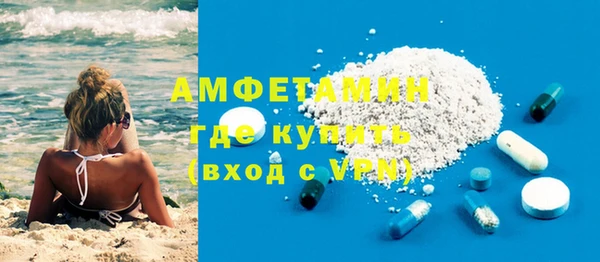соль ск Дмитриев