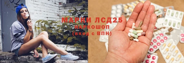 соль ск Дмитриев