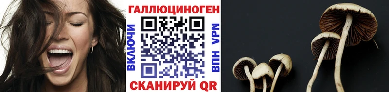 Купить где  Нерчинск  Псилоцибиновые грибы мицелий 